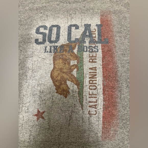 Delta Pro Weight So Cal California Flag Bear Boys T Shirt Size Small Gray - Picture 2 of 5
